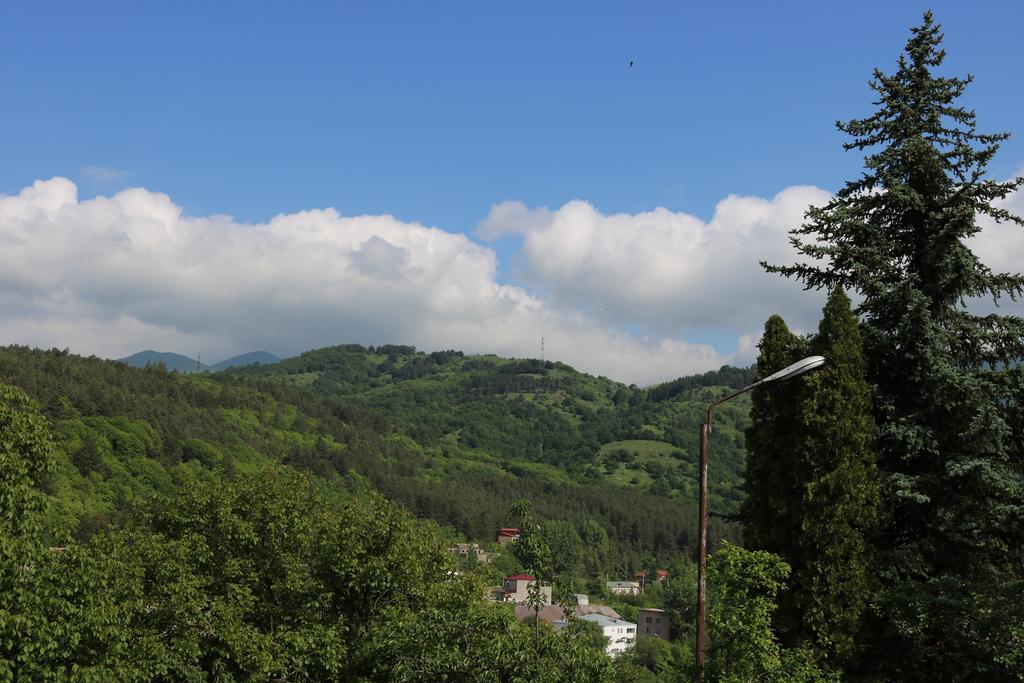 Dilijan Garden House Villa Kültér fotó